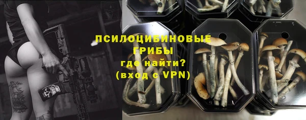 прущая мука Бородино