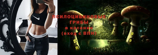 прущая мука Бородино