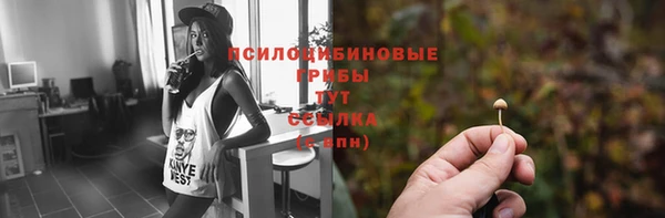 ECSTASY Бронницы