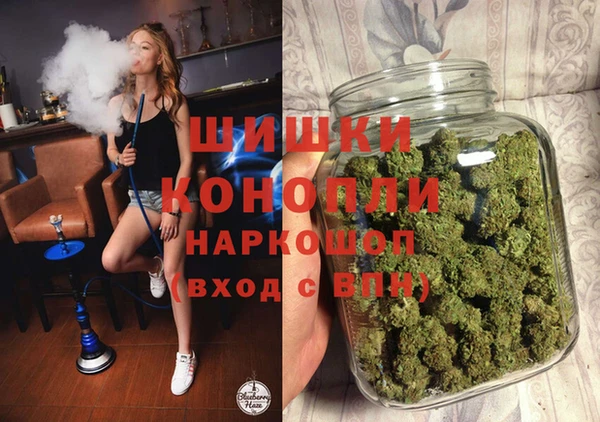 прущая мука Бородино