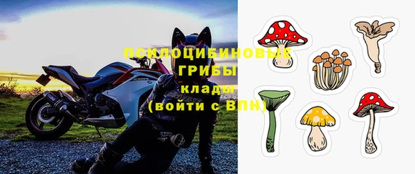 мдпв Бугульма