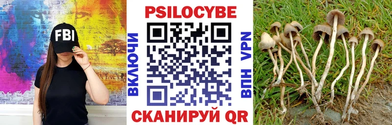 Галлюциногенные грибы мухоморы  Волоколамск 